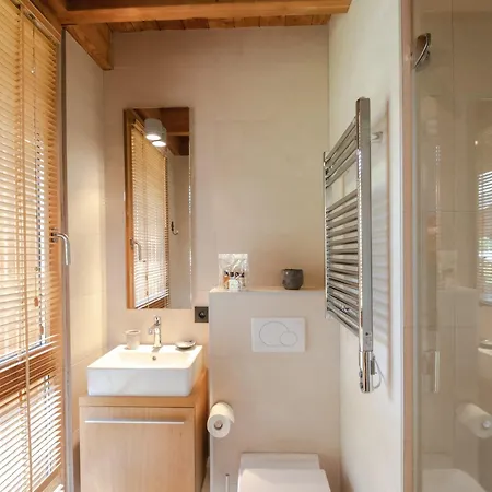 Contemporain 3* Proche Pistes, 6 Pour 12 Personnes - Fr-1-343-179 *